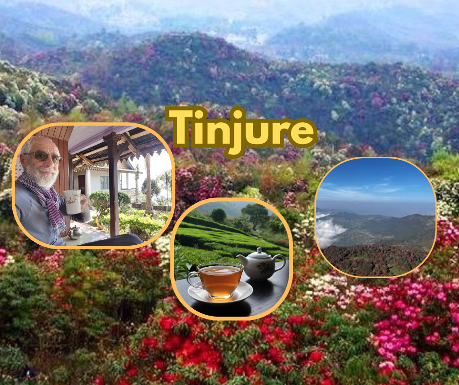 Tinjure: The Crown of Eastern Nepal – Rhododendrons, Culture & Himalayan Views